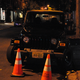 Image for article titled D300s Sample Photos